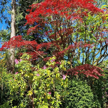 Дом отдыха Old Belfield, With View And Walking Distance To Shops, Bars And Restaurants Боунес-он-Уиндермер