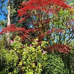 Дом отдыха Old Belfield, With View And Walking Distance To Shops, Bars And Restaurants Боунес-он-Уиндермер